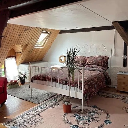 La Petit Fleur - The Little Flower, Cosy * Saint-Michel-de-Montjoie