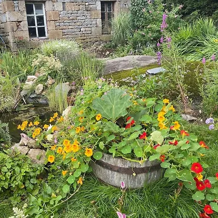 Le Petit Fleur - The Little Flower, Cosy Ferienhaus