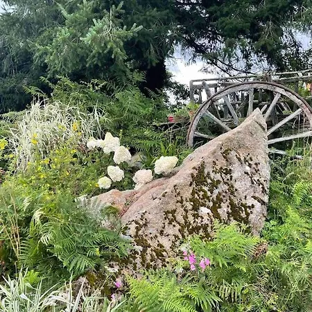 Le Petit Fleur - The Little Flower, Cosy Ferienhaus *