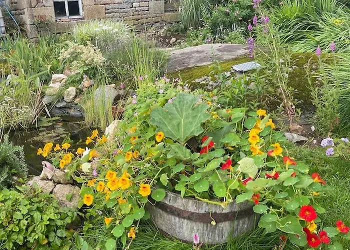 La Petit Fleur - The Little Flower, Cosy Holiday home