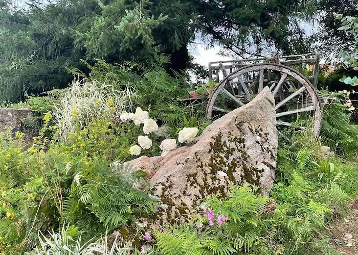 La Petit Fleur - The Little Flower, Cosy Holiday home *