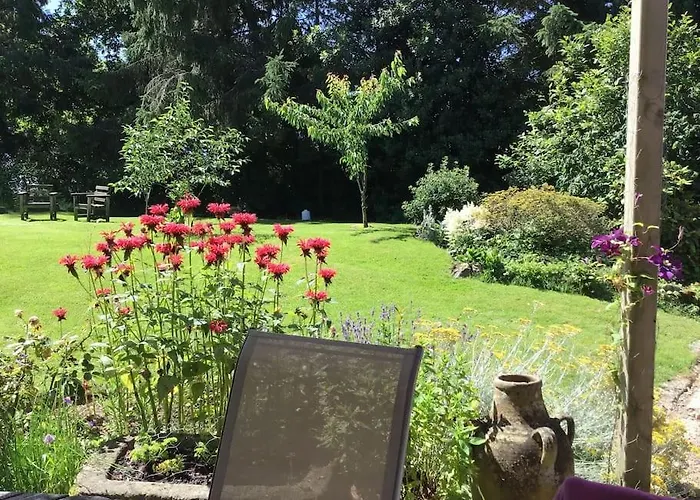 La Petit Fleur - The Little Flower, Cosy *