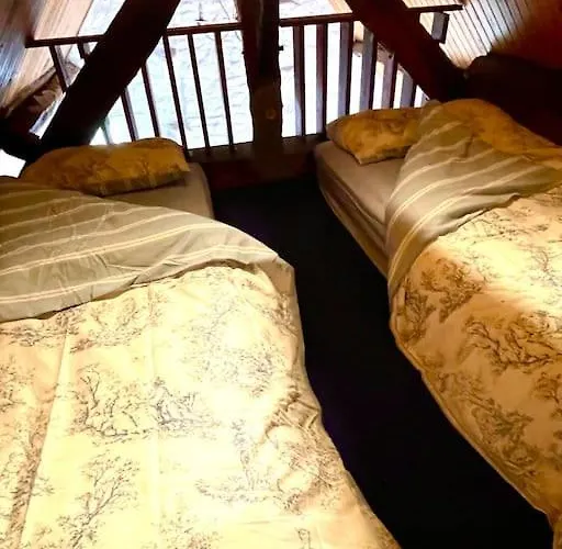 La Petit Fleur - The Little Flower, Cosy