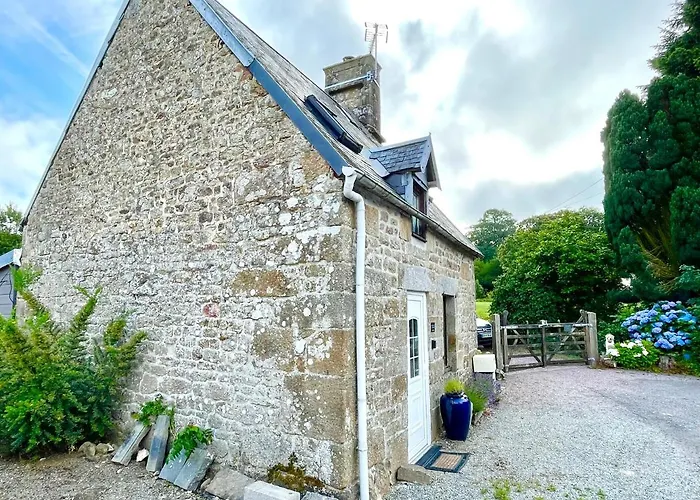 La Petit Fleur - The Little Flower, Cosy